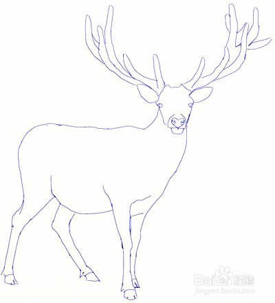 如何画一只鹿——加菲的吃货生活