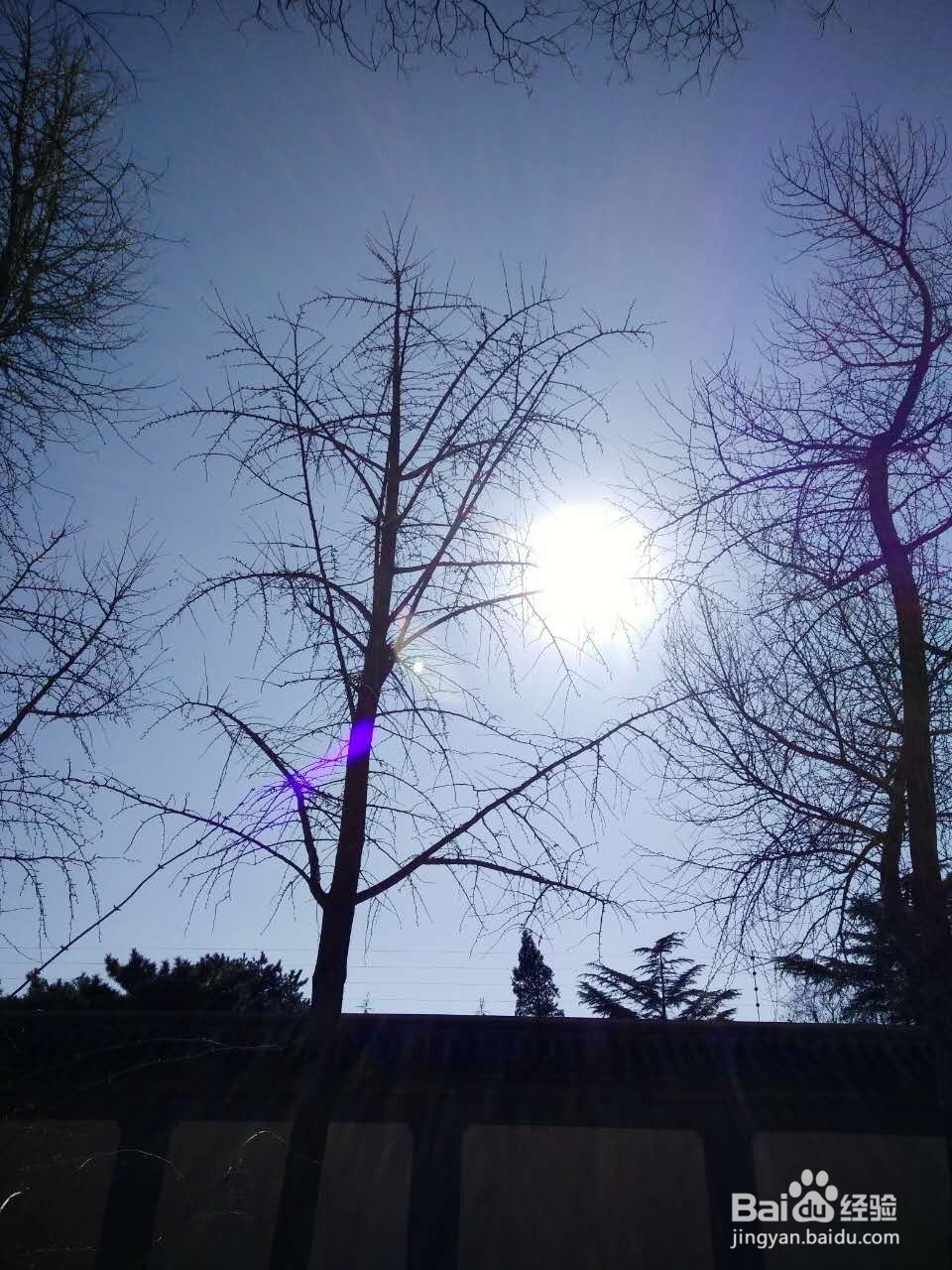 毕业后如何树立正确的方向