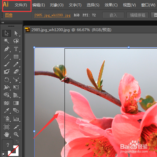 Adobe illustrator 怎样剪切一张图中的一部分？