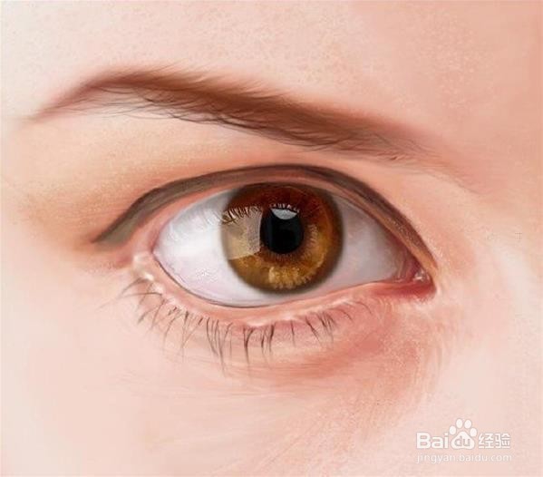 PS插画写实眼睛画法详细步骤图解教程