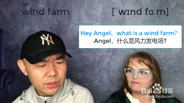 wind farm什么意思