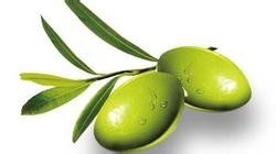 冬季吃哪些水果有助于健康和养生