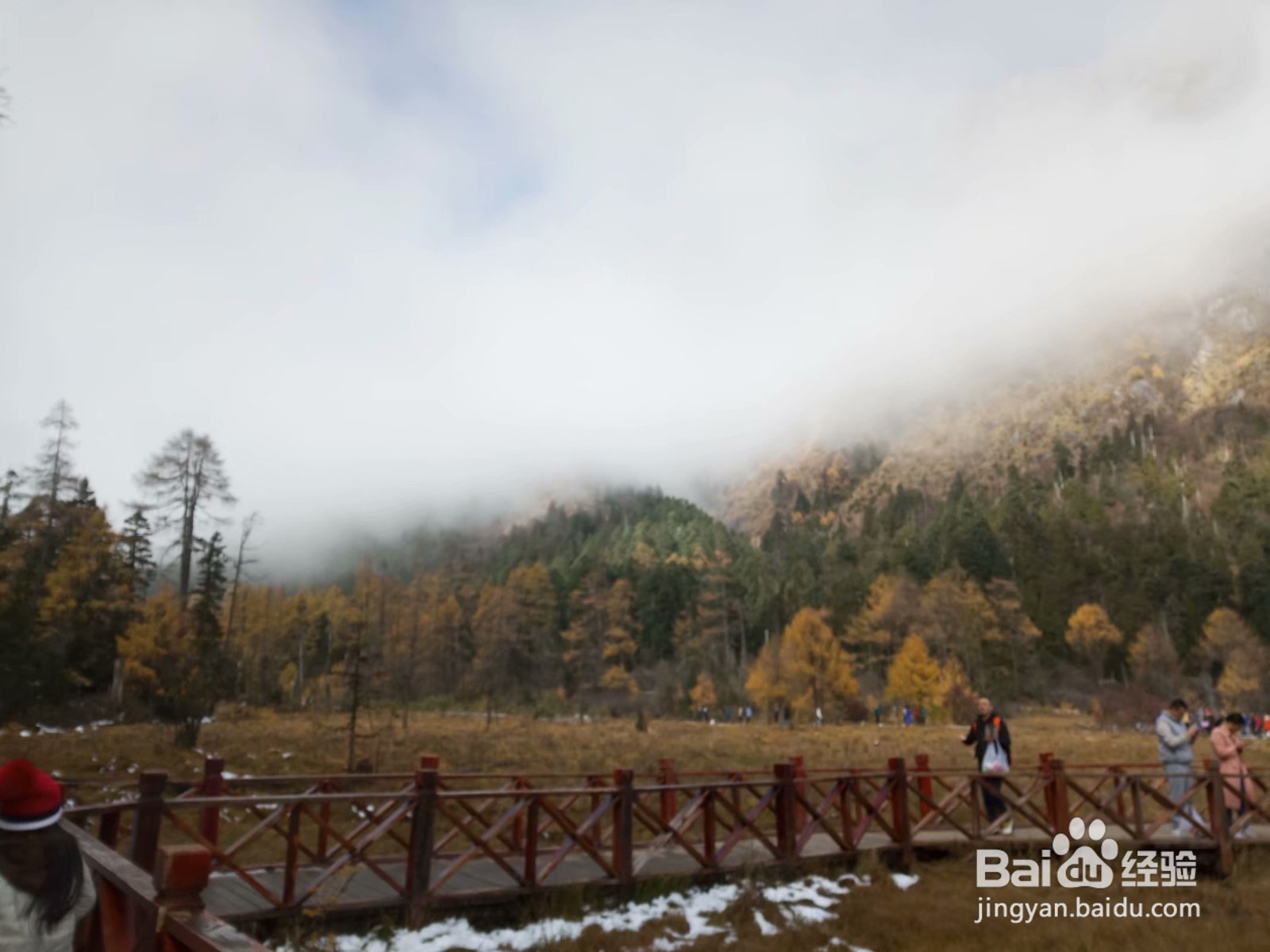 八分山游玩攻略