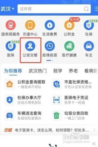 只知道车牌号怎么查违章