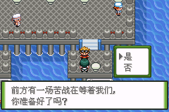口袋妖怪釉色攻略(19)