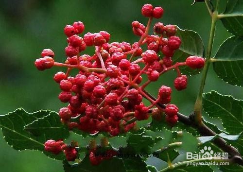 女性痛经怎么缓解