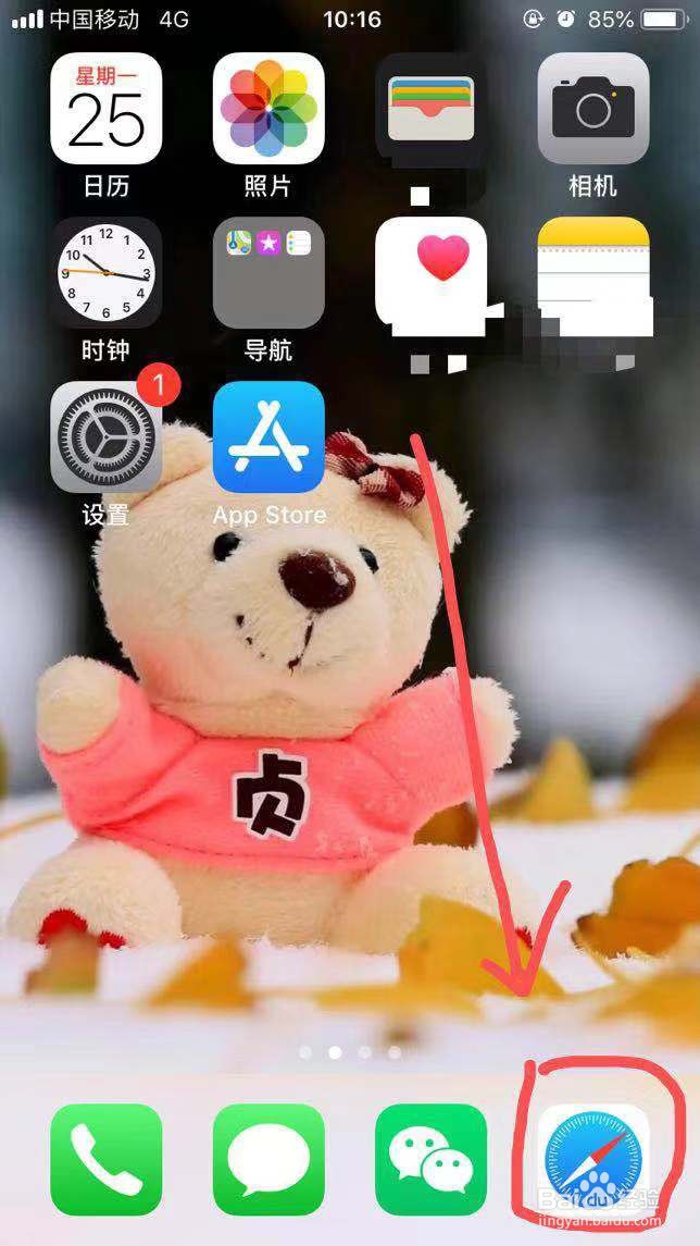 苹果手机自带的浏览器Safari如何打开电脑网页
