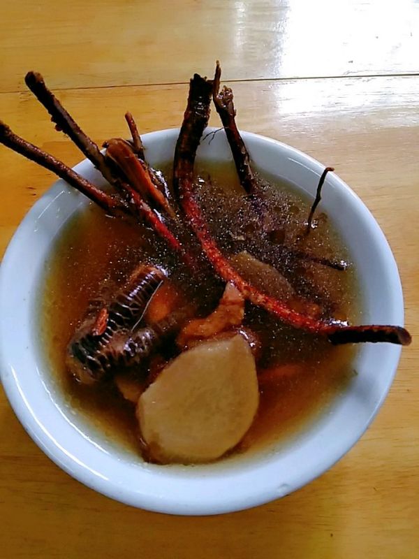 五指毛桃核桃炖鸡