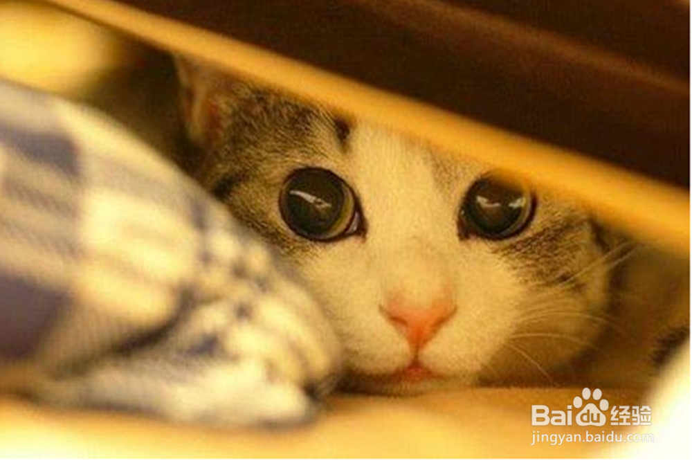 如何改善畏寒体质