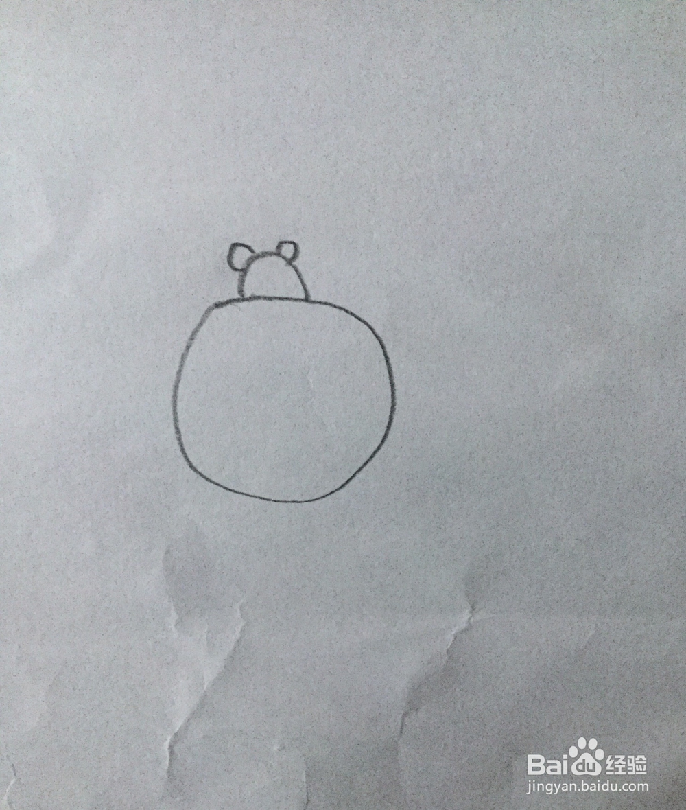简笔画七星瓢虫的画法