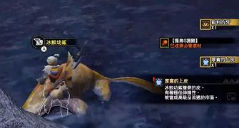 怪物猎人rise厚实的上等皮怎么获得