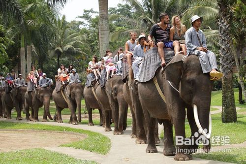十一月去哪里旅游好？请考虑到巴厘岛