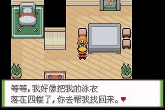 口袋妖怪釉色攻略(12)