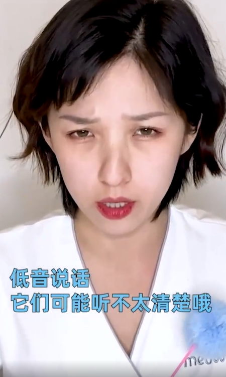 猫咪听到的世界是什么样子？