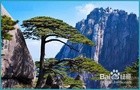 选择旅游，放松心情