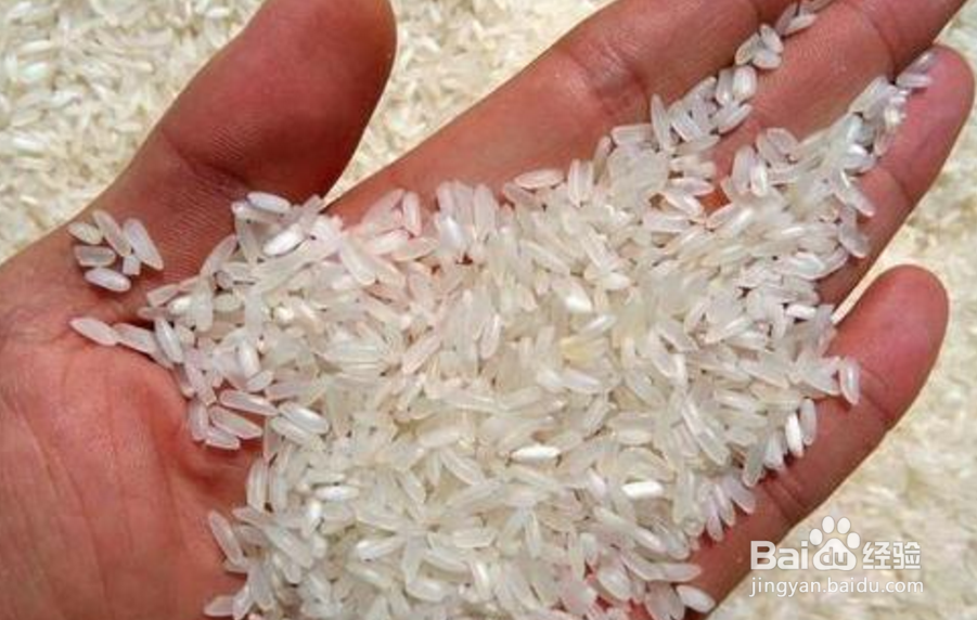 大米生蛾子怎么办