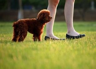 养生保健几个切身体会