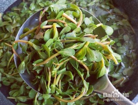 家庭自制凉拌马齿苋