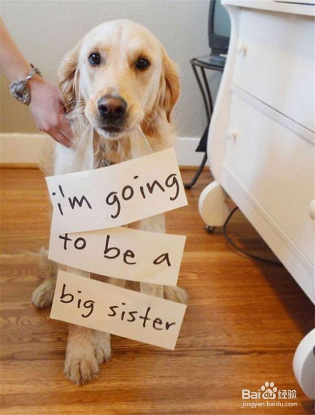 如何文艺含蓄地宣告新宝宝的诞生？