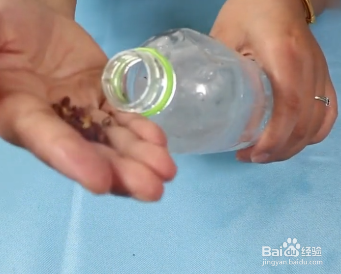 花盆里长满了潮湿虫怎么办