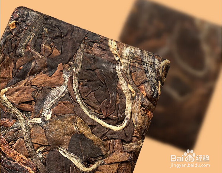 新茶保存技巧介绍