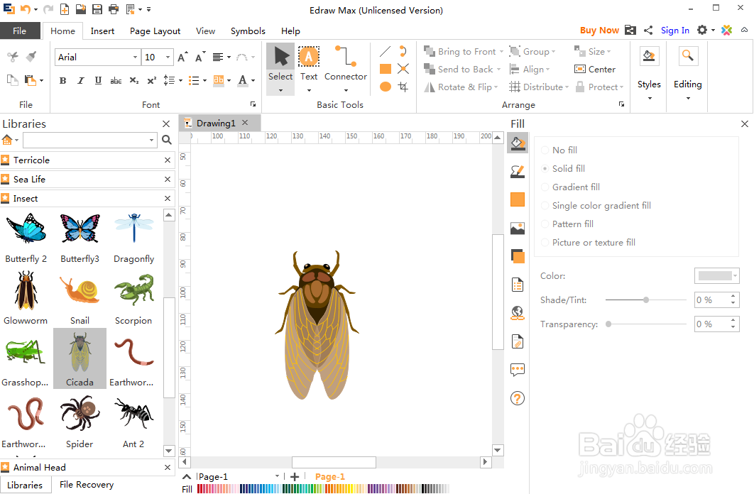 平面设计时创建知了的方法