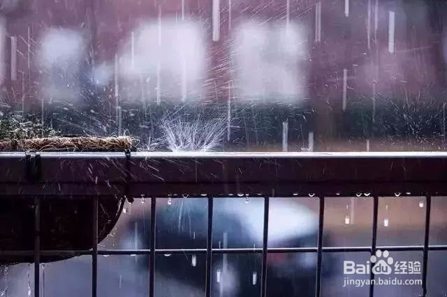 七个摄影小技巧,让你在雨天也能拍出好照片