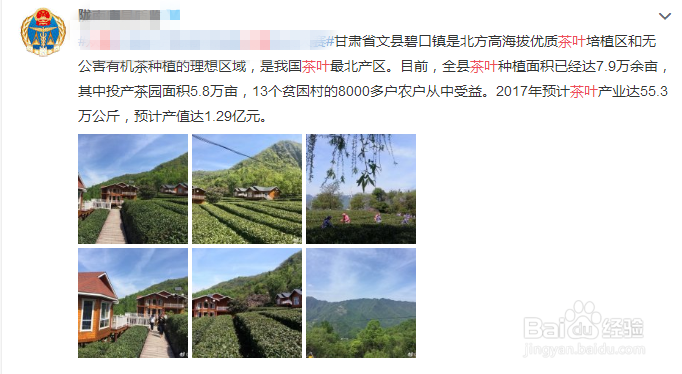 新农人宣传农产品方法