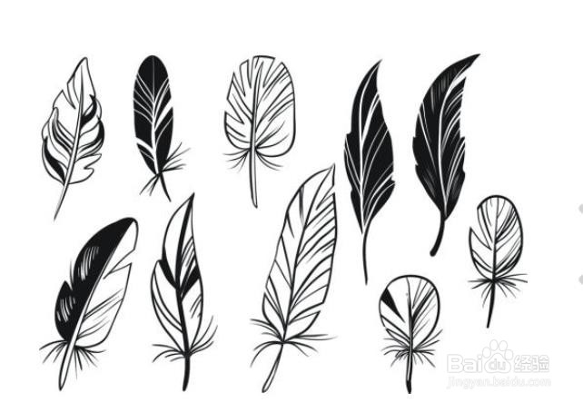 qq红包羽毛怎么画