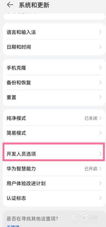 鸿蒙系统开发者选项在哪