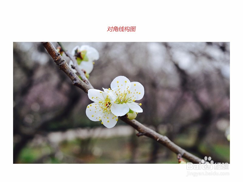 手机拍照怎么拍比较好看，要怎么构图呢？