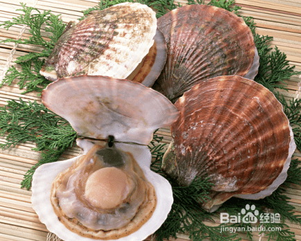 红扇贝怎么清洗