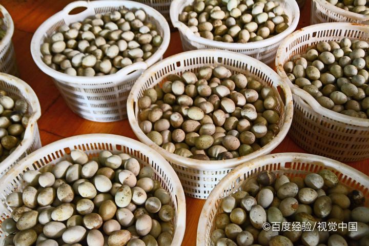 孕妇能吃松花蛋吗