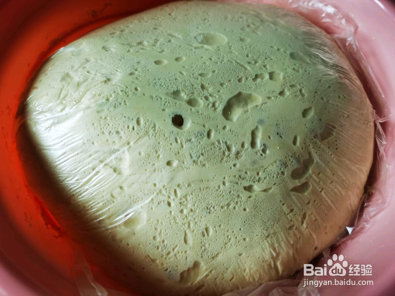 白菜粉丝包的做法