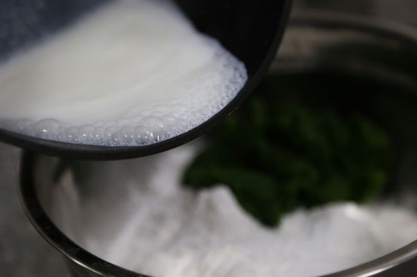 咸蛋黄肉松青团和红豆沙青团超级详细