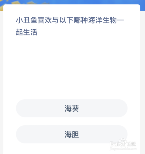 神奇海洋：小丑鱼喜欢与哪种海洋生物一起生活