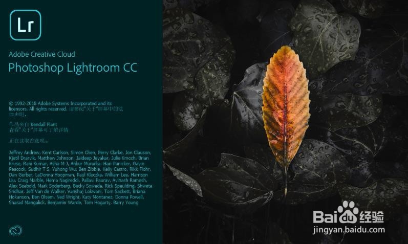 如何使用Lightroom