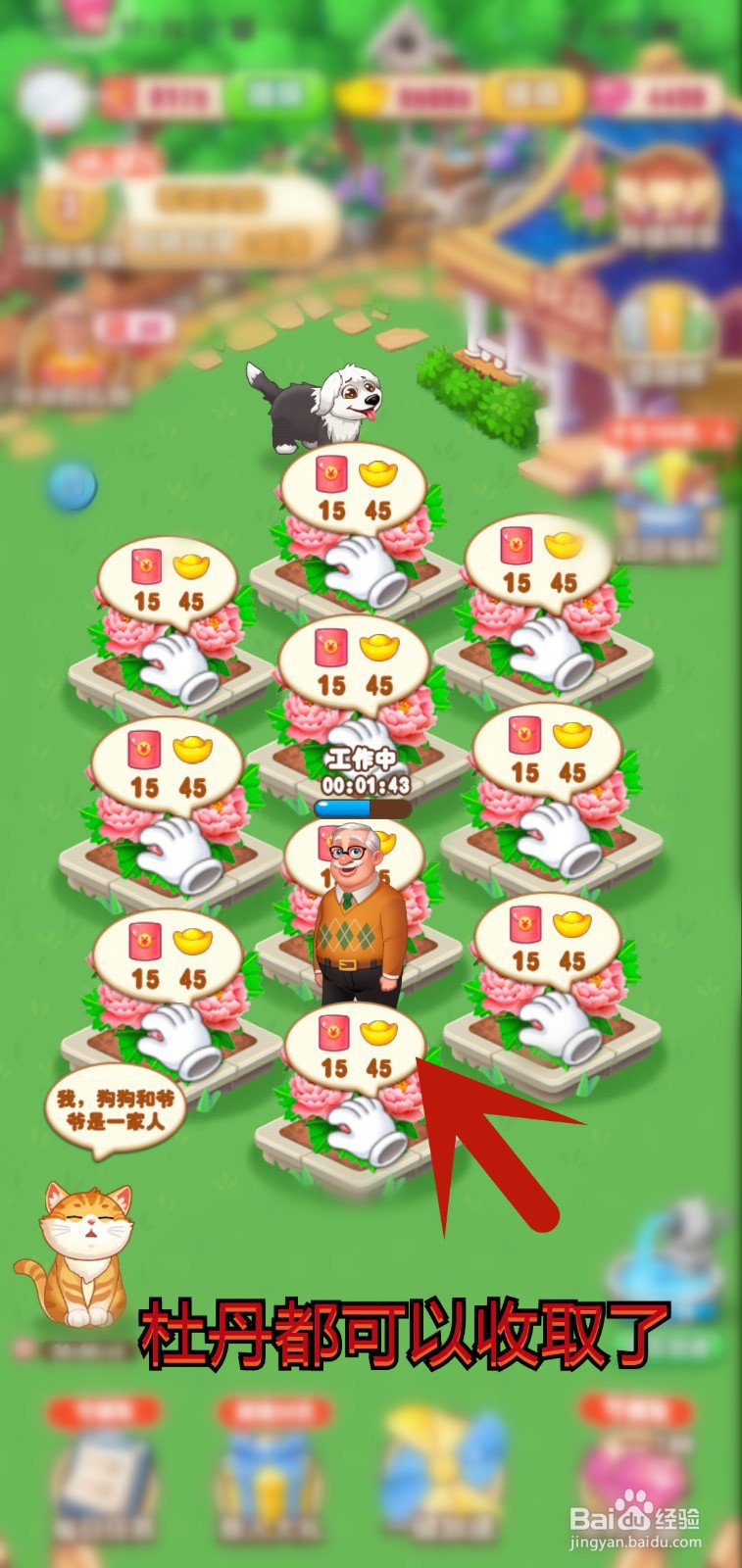 爷爷的花园怎么解锁杜丹花种植