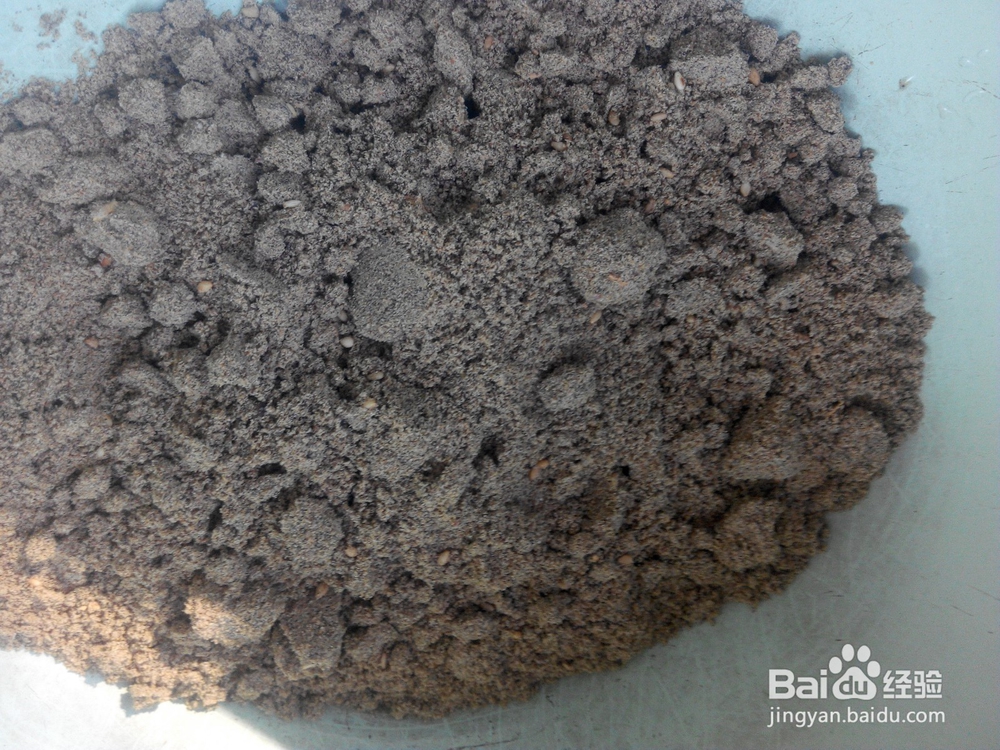 营养早餐跟我做