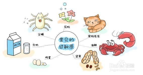 【儿科护理常规】儿童过敏性紫癜的常规护理