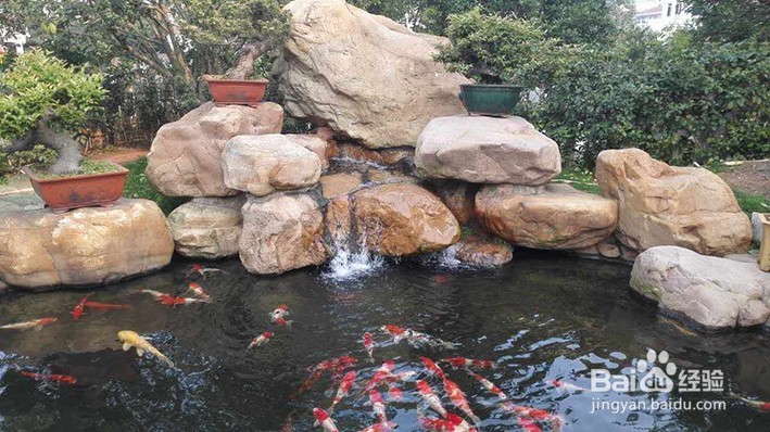 鱼池过滤系统，到底我们该如何选择？