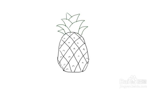 简笔画教学：如何画菠萝