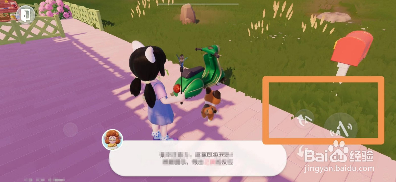 心动小镇怎么逗猫