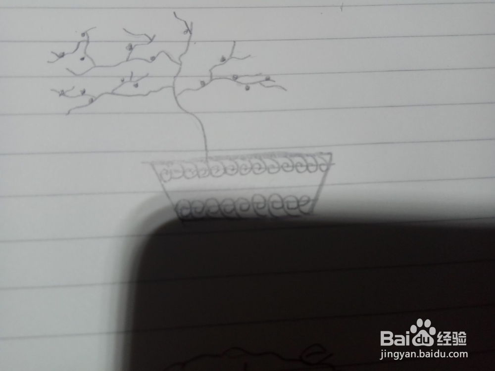 如何画盆栽梅花