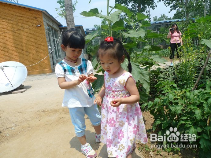 端午假期第二天