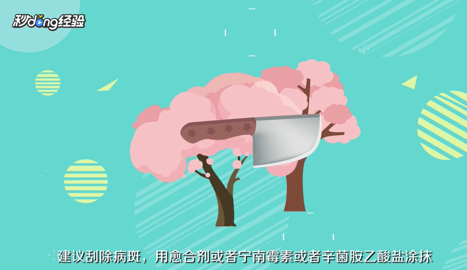 桃树流胶病怎么用药剂防治