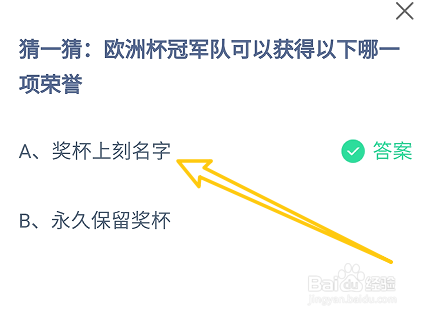 欧洲杯冠军队可以获得以下哪一项荣誉