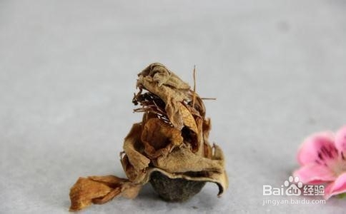 如何用中药药理的研究方法