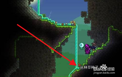 泰拉瑞亚丛林草种子怎么获得