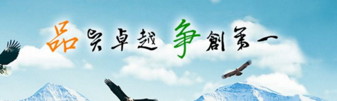 什么是JavaScript HTML DOM?